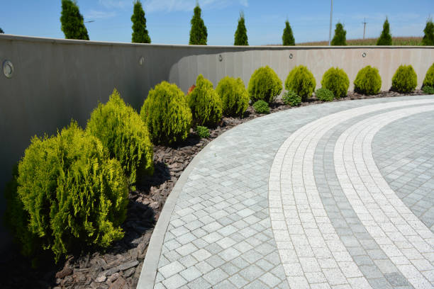 Best Brick Driveway Pavers  in Luray, VA